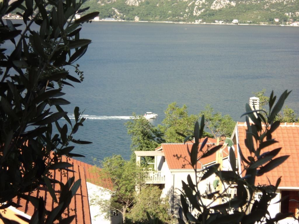 Guest House Pajovic Kotor Exterior foto